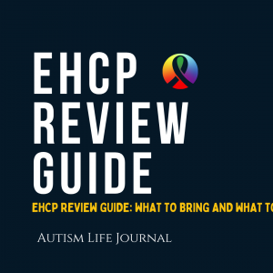 EHCP Review Master Bundle: What to Bring and What to Say and EHCP 100+ Example Templates